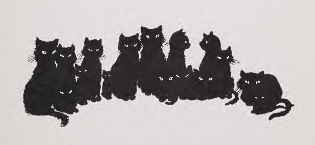 A cat, illustrating Discount Dust Bag