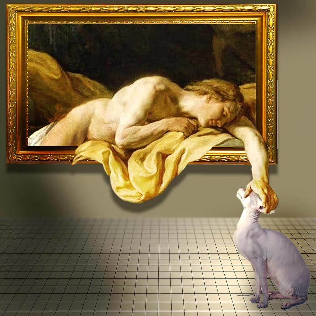 A cat, illustrating Valerian Mist Starter Kit