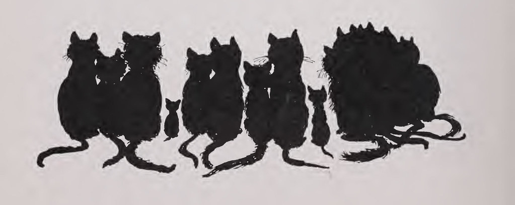 A cat, illustrating Whole Leaf Mountain Blend